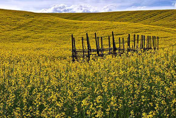 Palouse 624-091
