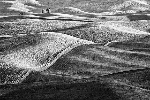 Palouse 624-016