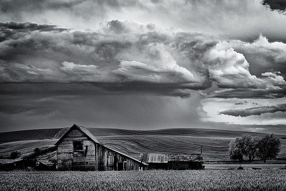 Palouse 623-091