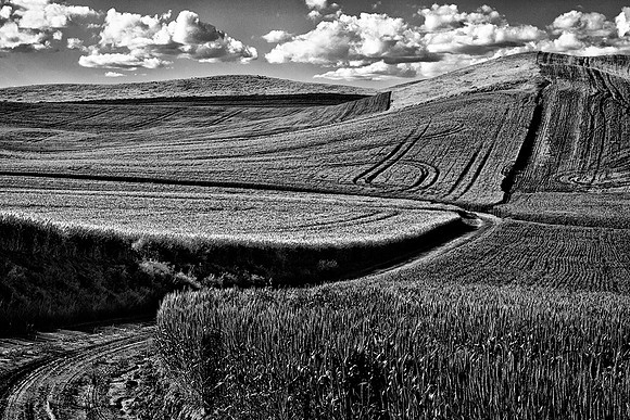 Palouse 625-097