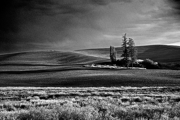 Palouse 729d-09