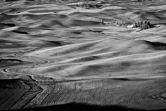 Palouse 624-025a