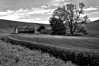 Palouse 625-068