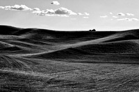 Palouse 625-106