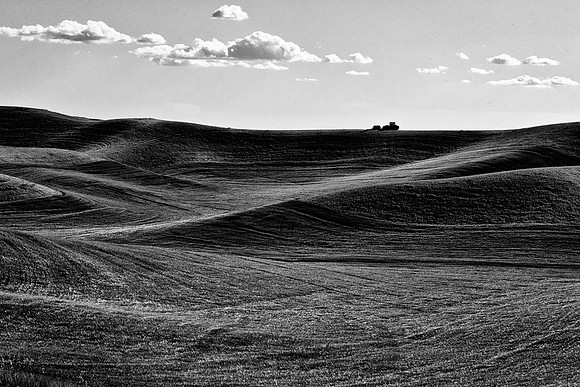 Palouse 625-106