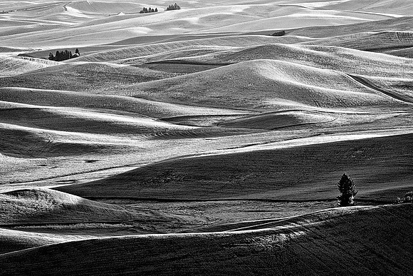 Palouse 624-012