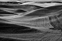 Gallery: The Palouse in B&W