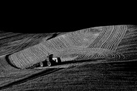 Palouse 626-007