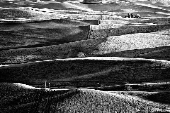 Palouse 624-019