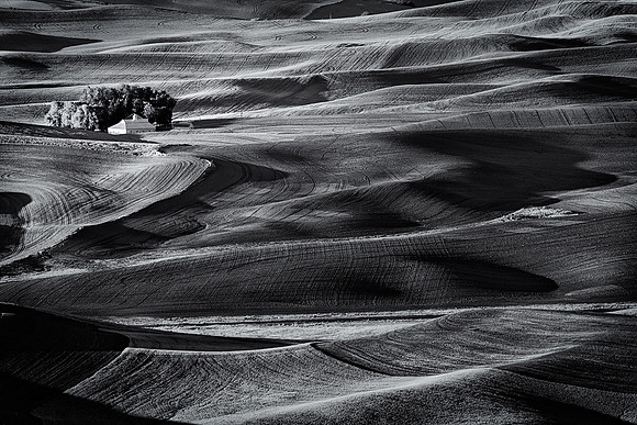 Palouse 624-022