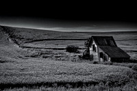 Palouse 624-034