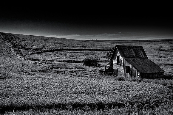 Palouse 624-034