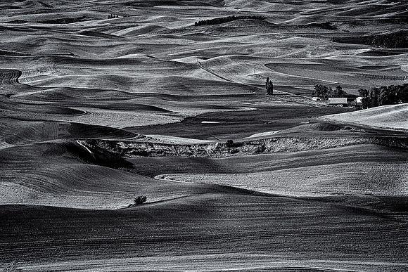 Palouse 707c-03bcs