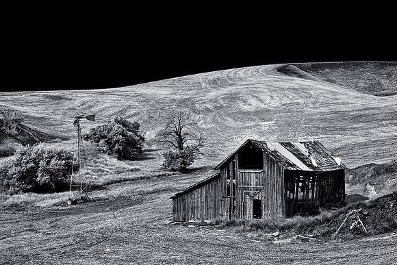 Palouse 623-041