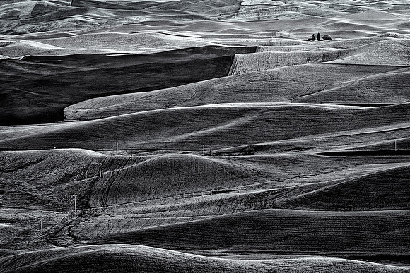 Palouse 624-002