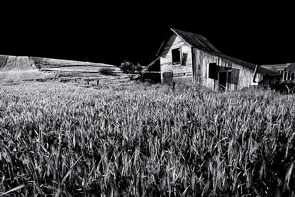Palouse 624-033