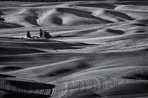 Palouse 624-024