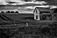 Palouse 625-081