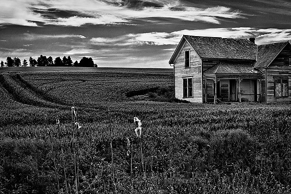 Palouse 625-081