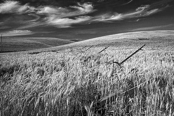 Palouse 707f-34cs