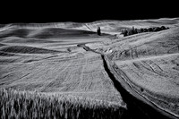 Palouse 624-035&36