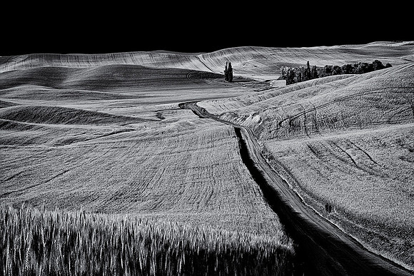 Palouse 624-035&36