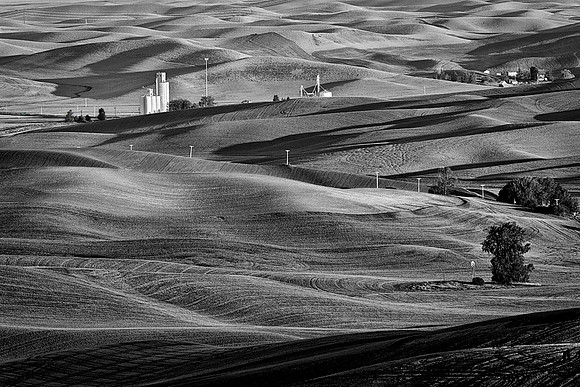Palouse 624-013b