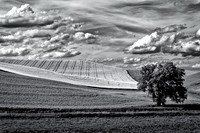 Palouse 624-076b