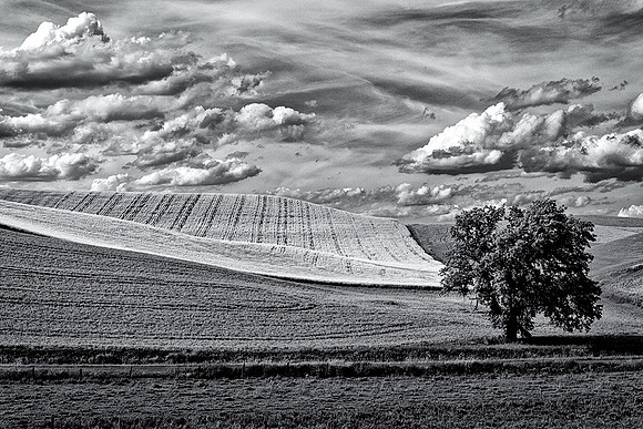 Palouse 624-076b