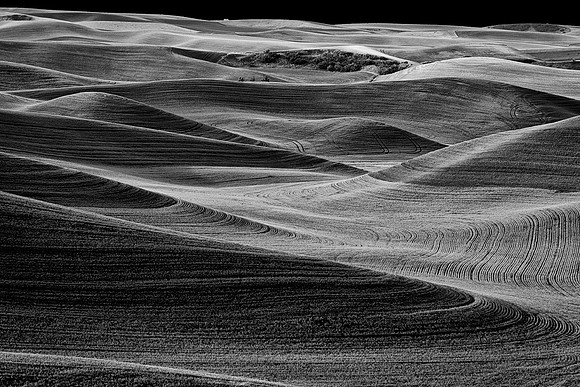 Palouse 623-013b