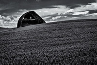Palouse 625-066