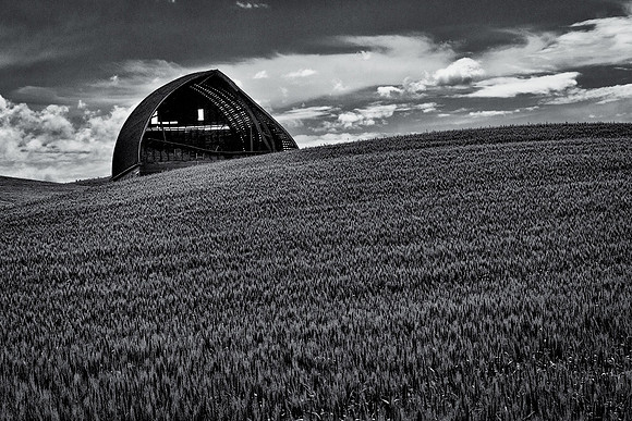 Palouse 625-066