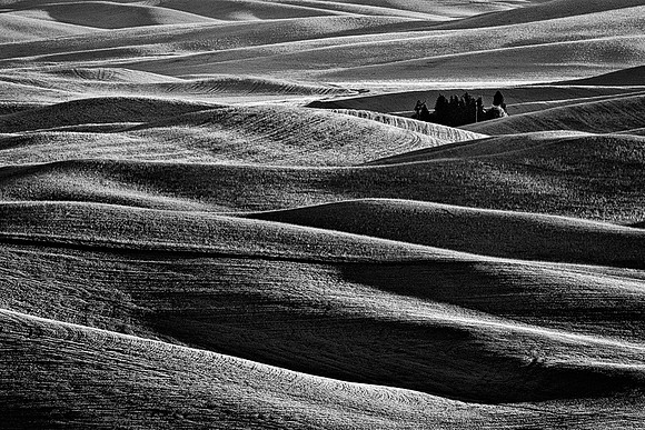 Palouse 624-017