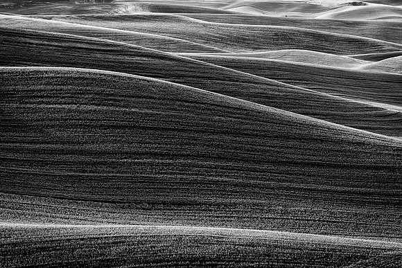 Palouse 623-012