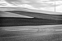 Palouse 625-016