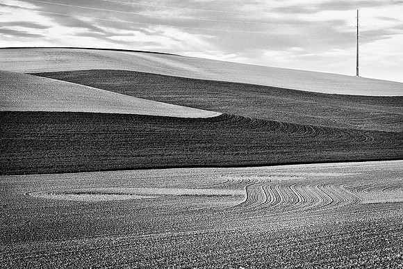 Palouse 625-016