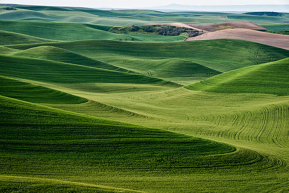 Palouse 623-013c