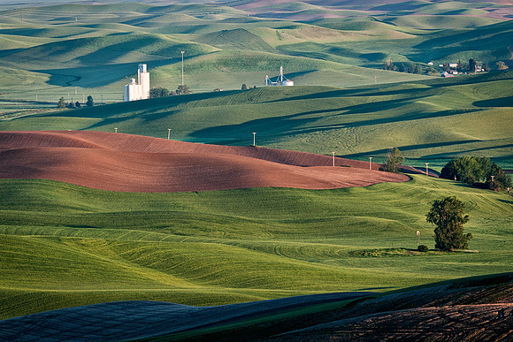 Palouse 624-013