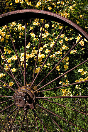 Palouse 625-048