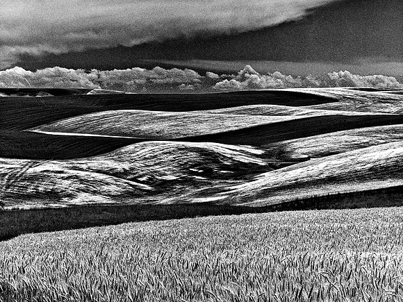 Palouse 608c-11
