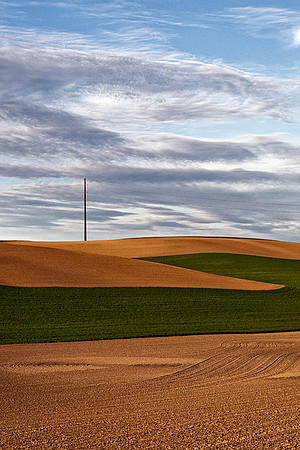 Palouse 625-019