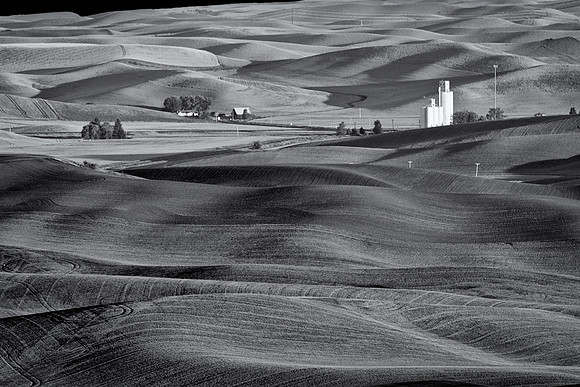 Palouse 624-014