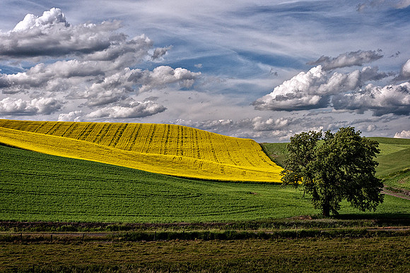 Palouse 624-076