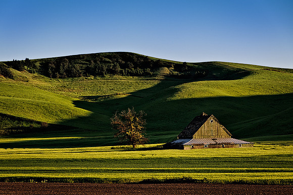Palouse 626-061
