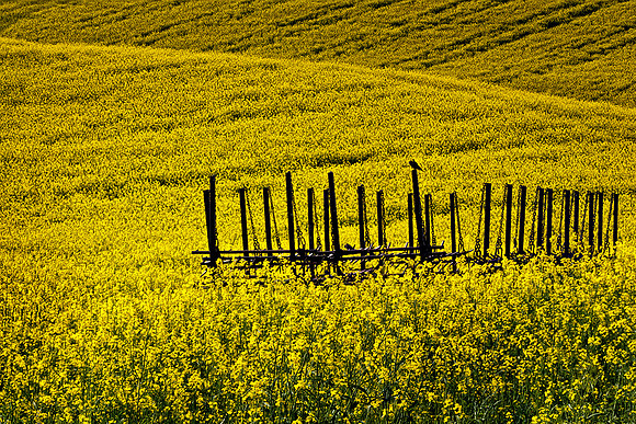 Palouse 624-088&89