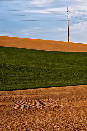 Palouse 625-017
