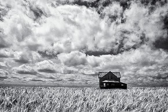 Deserted House in Wheat Field