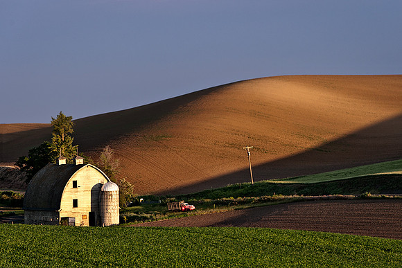 Palouse 625-013